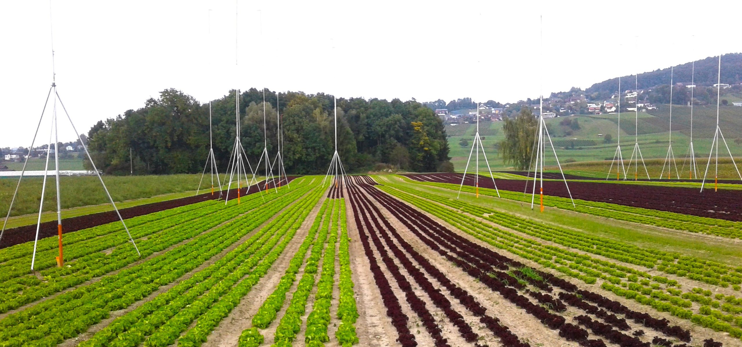 Eine Landwirtschaftsfläche wird überbaut.