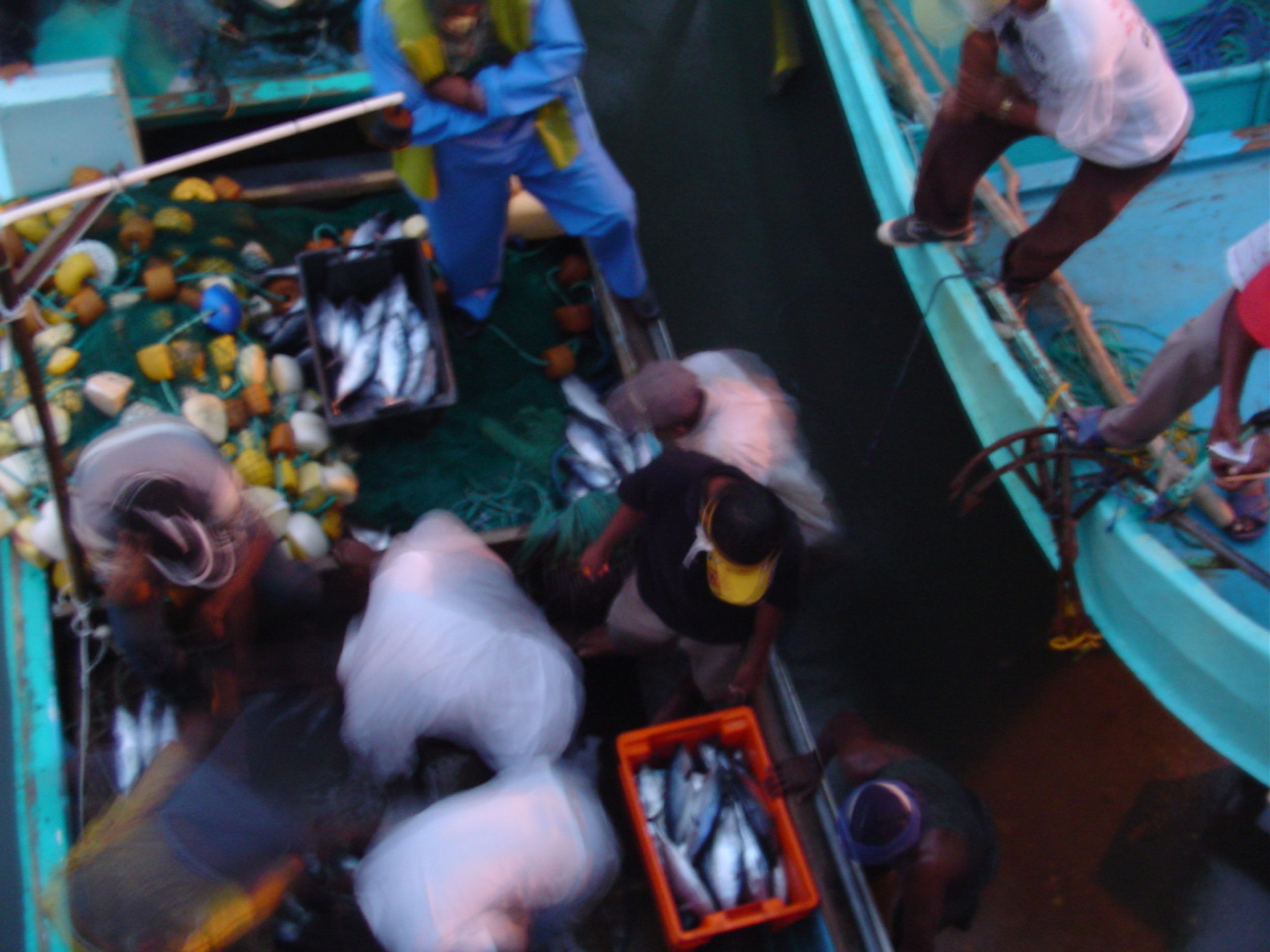 Des pêcheurs à bord d'un bâteau de pêche.