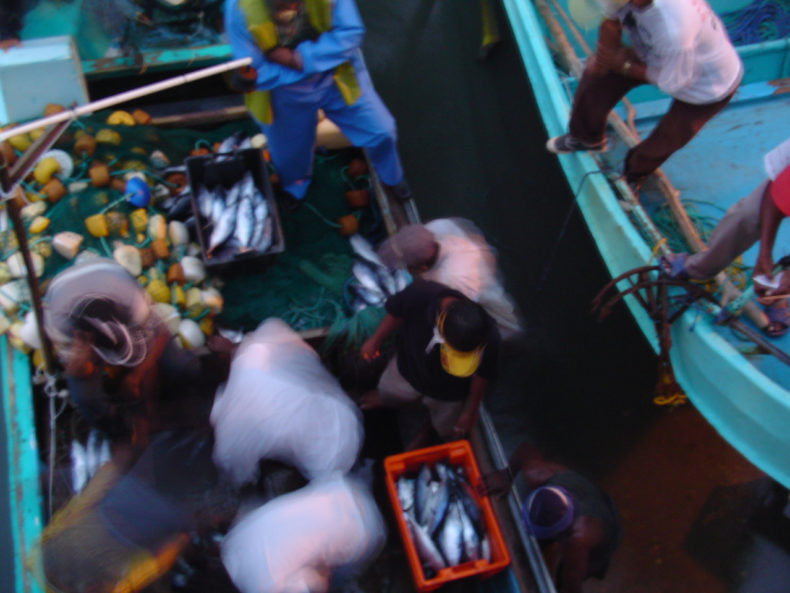 Des pêcheurs à bord d'un bâteau de pêche.
